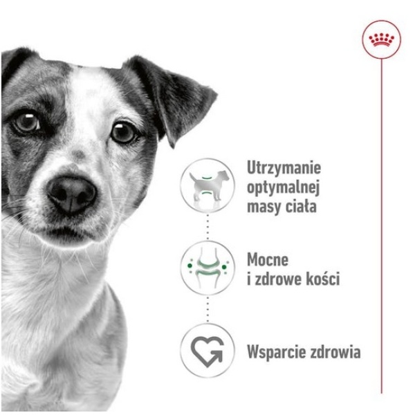 Royal Canin Mini Adult karma sucha dla psów dorosłych, ras małych 2kg - obrazek 3