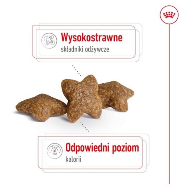 Royal Canin Mini Adult karma sucha dla psów dorosłych, ras małych 2kg - obrazek 4
