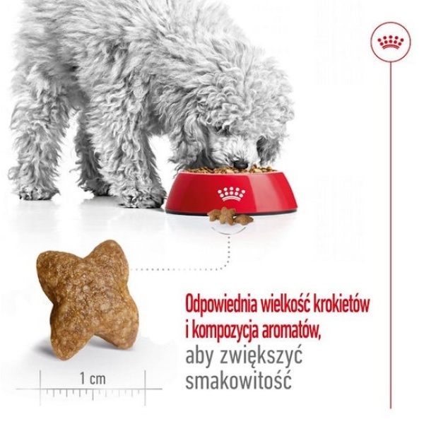Royal Canin Mini Adult karma sucha dla psów dorosłych, ras małych 2kg - obrazek 5