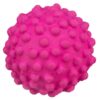 Trixie Piłka z wypustkami 7cm 1szt [3461] - obrazek 3