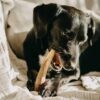 4DOGS Gryzak z poroża XXL hard - obrazek 8