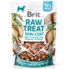 Brit Raw Treat Dog Skin & Coat Fish & Chicken 40g