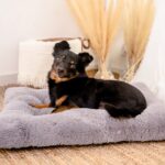 MIMIKO Pets Legowisko Shaggy prostokątne L 65x45cm szare - obrazek 4