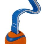 Chuckit! Ultra Tug Medium [231201] - obrazek 3
