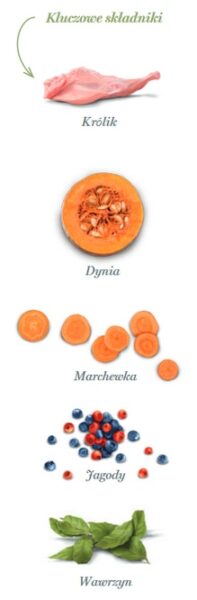 Amanova Dog Adult Digestive Divine Rabbit - królik 2kg - obrazek 5