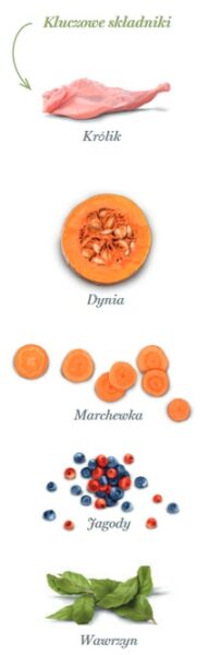 Amanova Dog Adult Mini Digestive Divine Rabbit - królik 2kg - obrazek 5
