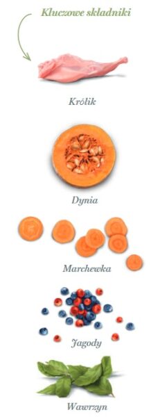Amanova Dog Puppy Digestive Divine Rabbit - królik 2kg - obrazek 5
