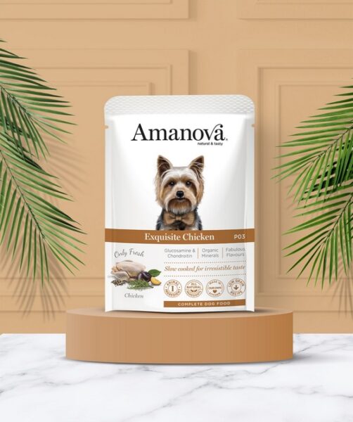 Amanova Dog Adult Exquisite Chicken - kurczak saszetka 100g [P03] - obrazek 4