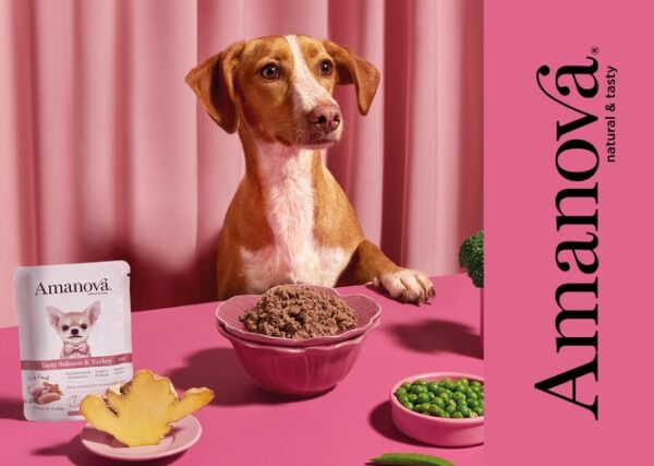 Amanova Dog Adult Tasty Salmon & Turkey - łosoś i indyk saszetka 300g [P06] - obrazek 6