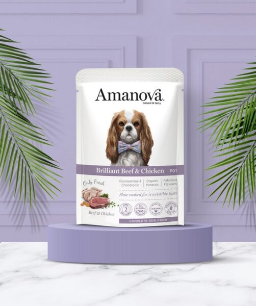 Amanova Dog Adult Brilliant Beef & Chicken - wołowina i kurczak saszetka 300g [P01] - obrazek 4
