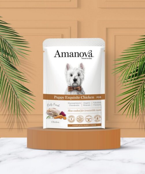 Amanova Dog Puppy Exquisite Chicken - kurczak saszetka 300g [P08] - obrazek 4