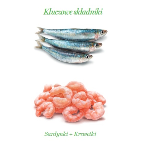 Amanova Cat Sardine & Shrimps - sardynki i krewetki w galaretce puszka 70g [15] - obrazek 5