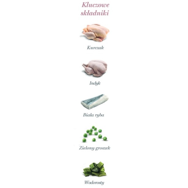 Amanova Cat Sterilised Fish & Turkey - biała ryba i indyk saszetka 85g [P12] - obrazek 5
