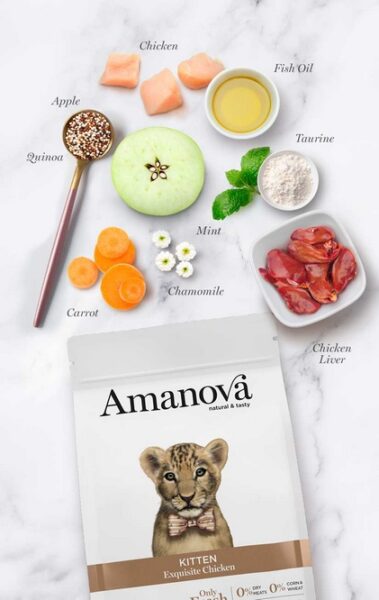 Amanova Cat Kitten Exquisite Chicken - kurczak 300g - obrazek 3