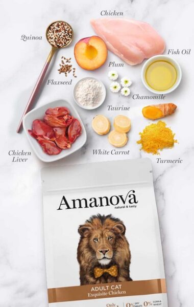 Amanova Cat Adult Exquisite Chicken - kurczak 6kg - obrazek 3