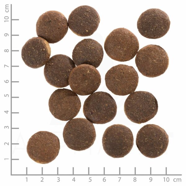 Wolfsblut Dog Red Rock - kangur i bataty 12,5kg - obrazek 4