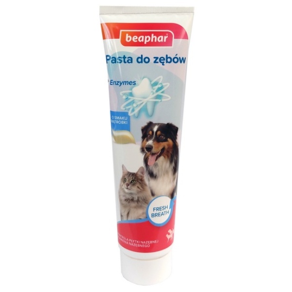 Beaphar Pasta do zębów o smaku mięsa dla psa i kota 100ml