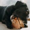 4DOGS Gryzak z korzenia drzewa wrzosowego L - obrazek 5