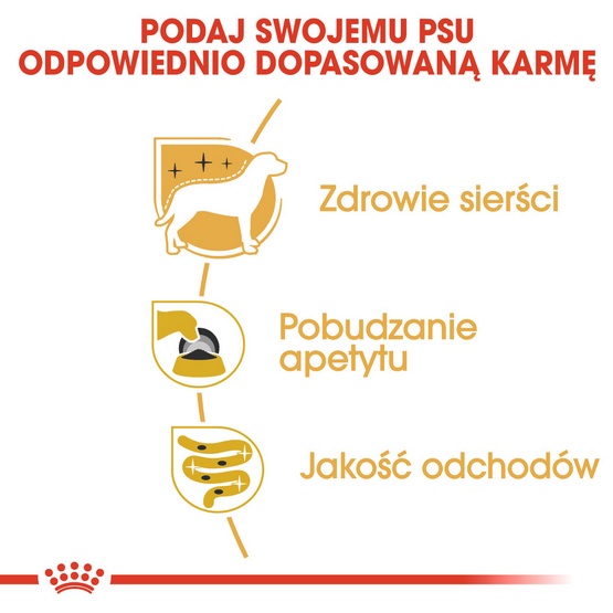 Royal Canin Yorkshire Terrier Adult karma mokra - pasztet, dla psów dorosłych rasy yorkshire terrier saszetka 85g - obrazek 5