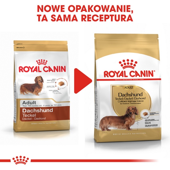 Royal Canin Dachshund Adult karma sucha dla psów dorosłych rasy jamnik 1,5kg - obrazek 4