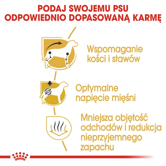 Royal Canin Dachshund Adult karma sucha dla psów dorosłych rasy jamnik 1,5kg - obrazek 6
