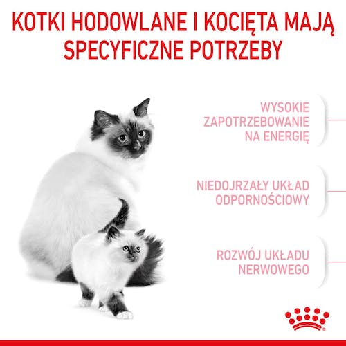 Royal Canin Mother&Babycat karma sucha dla kotek w okresie ciąży, laktacji i kociąt od 1 do 4 miesiąca 4kg - obrazek 2
