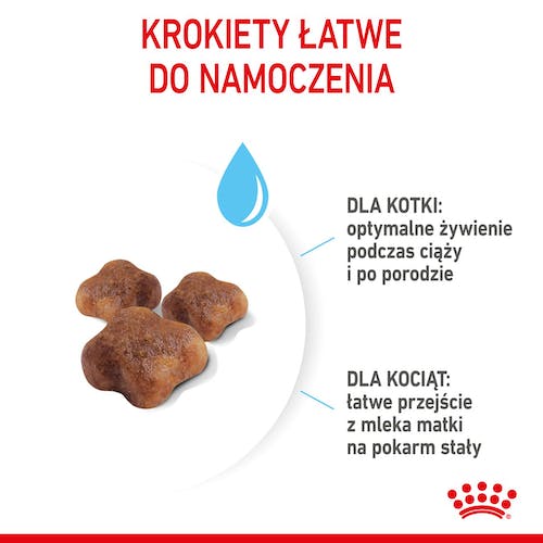 Royal Canin Mother&Babycat karma sucha dla kotek w okresie ciąży, laktacji i kociąt od 1 do 4 miesiąca 4kg - obrazek 4