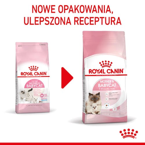 Royal Canin Mother&Babycat karma sucha dla kotek w okresie ciąży, laktacji i kociąt od 1 do 4 miesiąca 4kg - obrazek 5