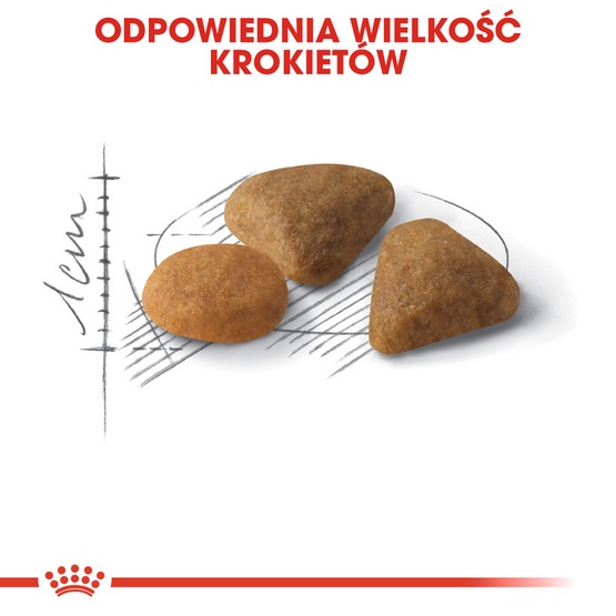 Royal Canin Savour Exigent karma sucha dla kotów dorosłych, wybrednych, kierujących się teksturą krokieta 400g - obrazek 4
