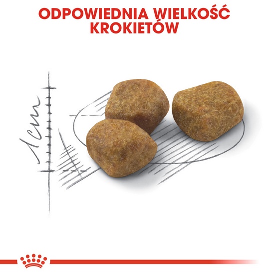 Royal Canin Fit karma sucha dla kotów dorosłych, wspierająca idealną kondycję 2kg - obrazek 5