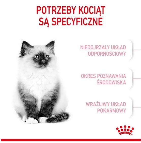 Royal Canin Kitten karma sucha dla kociąt od 4 do 12 miesiąca życia 400g - obrazek 3