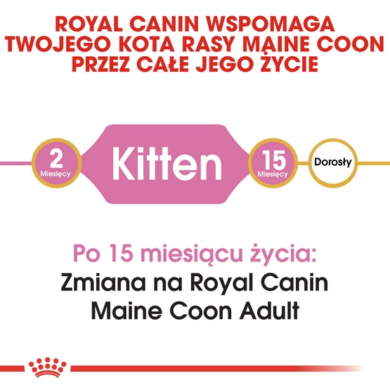 Royal Canin Maine Coon Kitten karma sucha dla kociąt, do 15 miesiąca, rasy maine coon 400g - obrazek 4