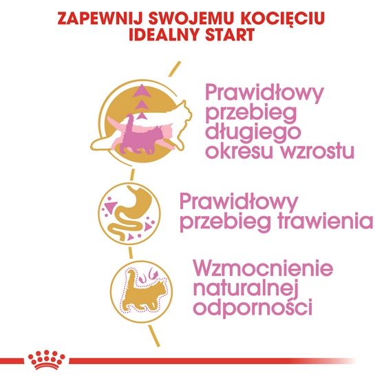 Royal Canin Maine Coon Kitten karma sucha dla kociąt, do 15 miesiąca, rasy maine coon 400g - obrazek 5