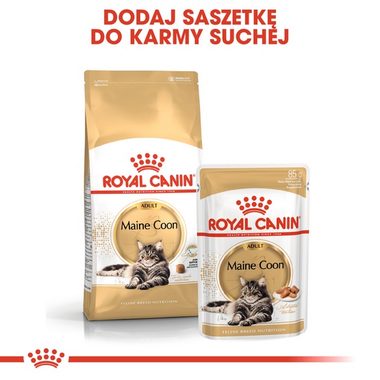Royal Canin Maine Coon Adult karma sucha dla kotów dorosłych rasy maine coon 400g - obrazek 5