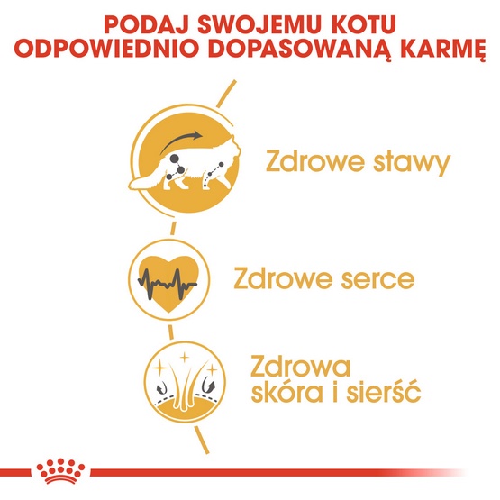 Royal Canin Maine Coon Adult karma sucha dla kotów dorosłych rasy maine coon 4kg - obrazek 4