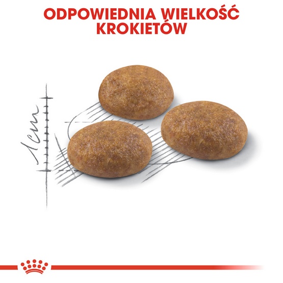 Royal Canin Outdoor karma sucha dla kotów dorosłych, wychodzących na zewnątrz 2kg - obrazek 6