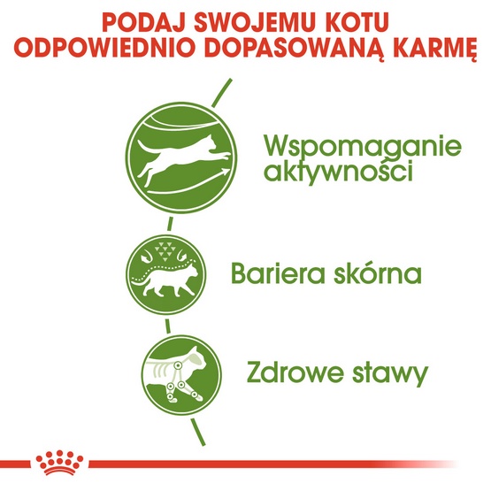 Royal Canin Outdoor karma sucha dla kotów dorosłych, wychodzących na zewnątrz 400g - obrazek 5
