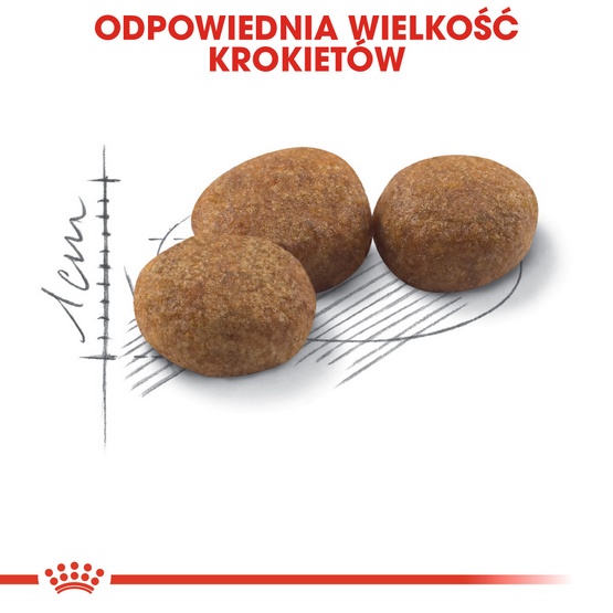 Royal Canin Sterilised karma sucha dla kotów dorosłych, sterylizowanych 2kg - obrazek 5