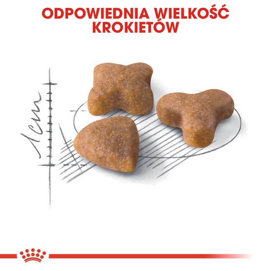 Royal Canin Sensible karma sucha dla kotów dorosłych, o wrażliwym przewodzie pokarmowym 4kg - obrazek 5
