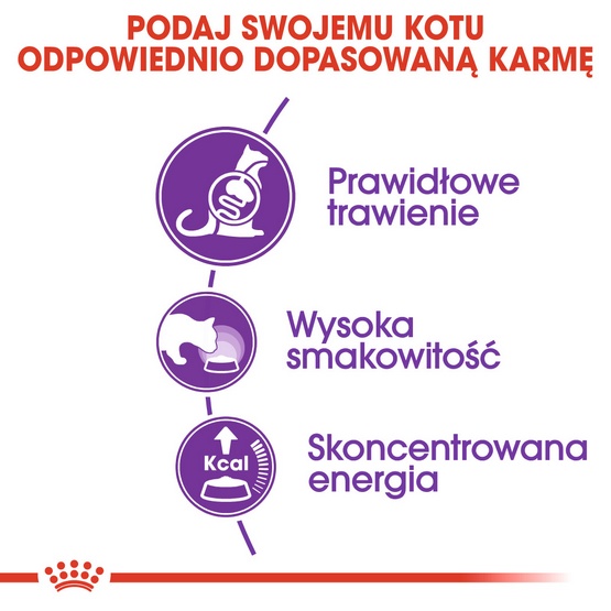 Royal Canin Sensible karma sucha dla kotów dorosłych, o wrażliwym przewodzie pokarmowym 400g - obrazek 4