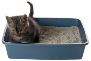 Super Benek Compact Zapachowy Lawenda (ciemny fiolet) 5L - obrazek 2