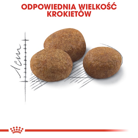 Royal Canin Sterilised 7+ karma sucha dla kotów dorosłych, od 7 do 12 roku życia, sterylizowanych 1,5kg - obrazek 6