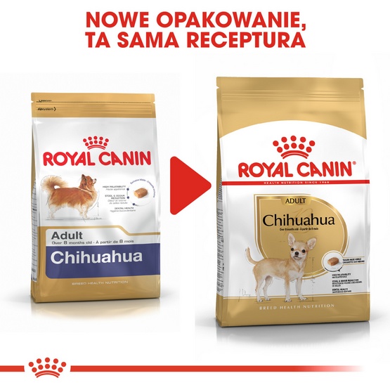 Royal Canin Chihuahua Adult karma sucha dla psów dorosłych rasy chihuahua 1,5kg - obrazek 4
