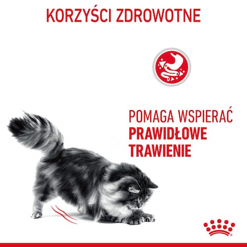Royal Canin Digestive Care karma mokra w sosie dla kotów dorosłych, wrażliwy przewód pokarmowy saszetka 85g - obrazek 3