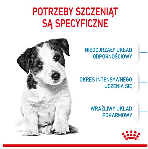 Royal Canin Mini Puppy karma sucha dla szczeniąt, od 2 do 10 miesiąca życia, ras małych 4kg - obrazek 2