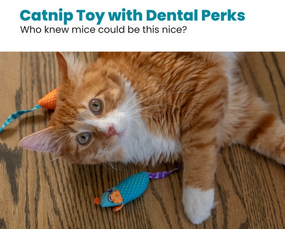 Petstages Myszki bliźniaczki z kocimiętką PS327 - obrazek 2