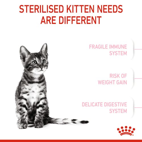 Royal Canin Kitten Sterilised karma sucha dla kociąt od 4 do 12 miesiąca życia, sterylizowanych 400g - obrazek 2