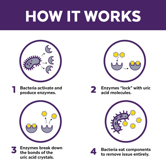 Urine Off Dog & Puppy Odor & Stain Remover - do usuwania plam moczu 118ml - obrazek 2