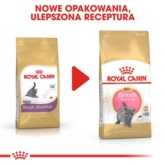Royal Canin British Shorthair Kitten karma sucha dla kociąt, do 12 miesiąca, rasy brytyjski krótkowłosy 400g - obrazek 3