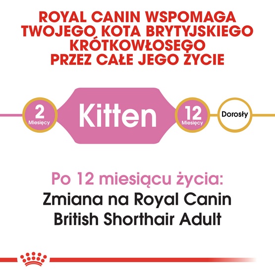 Royal Canin British Shorthair Kitten karma sucha dla kociąt, do 12 miesiąca, rasy brytyjski krótkowłosy 400g - obrazek 4